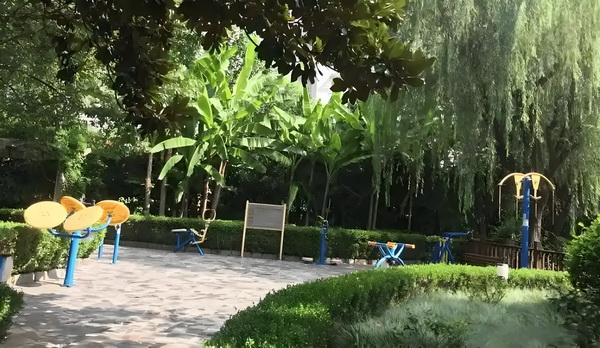 重生之浮华年代